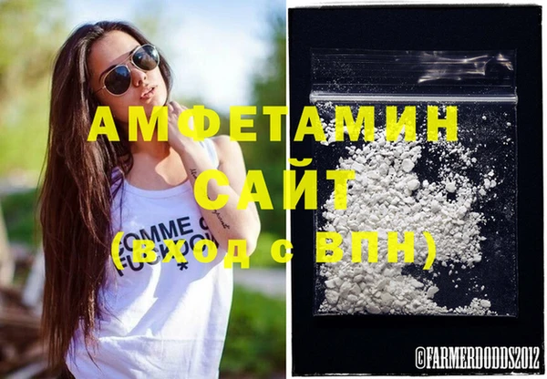прущие грибы Новодвинск