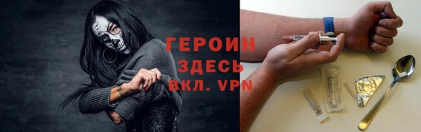 прущие грибы Новодвинск