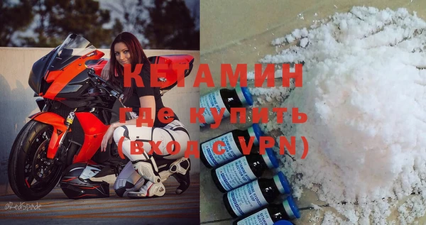 прущие грибы Новодвинск