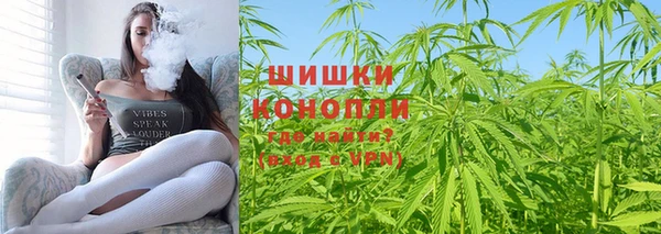 прущие грибы Новодвинск