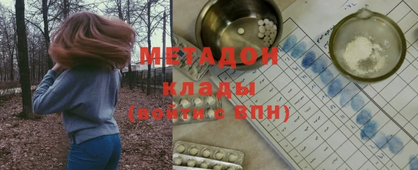 прущие грибы Новодвинск