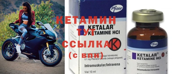 прущие грибы Новодвинск
