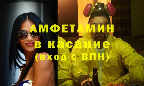 прущие грибы Новодвинск