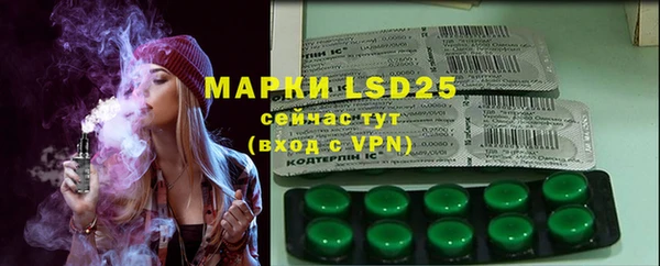 прущие грибы Новодвинск