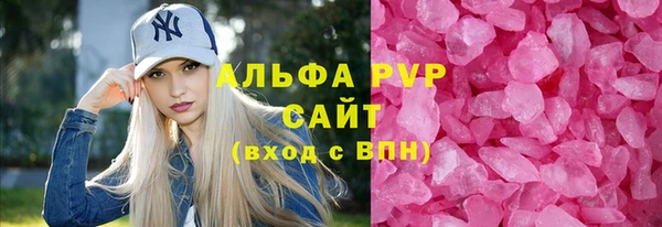 Альфа ПВП Новозыбков